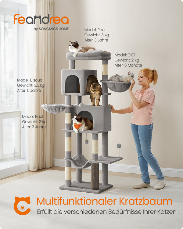 Mira kradsetræ - Grå