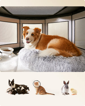 William kæledyrsindhegning