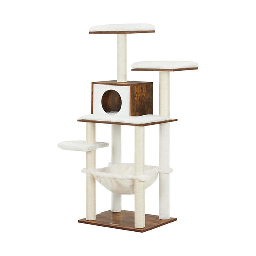 Lissabon kradsetræ - Brun